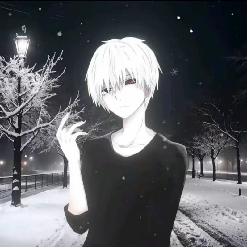 蓝盾-A1-华萌羽衍